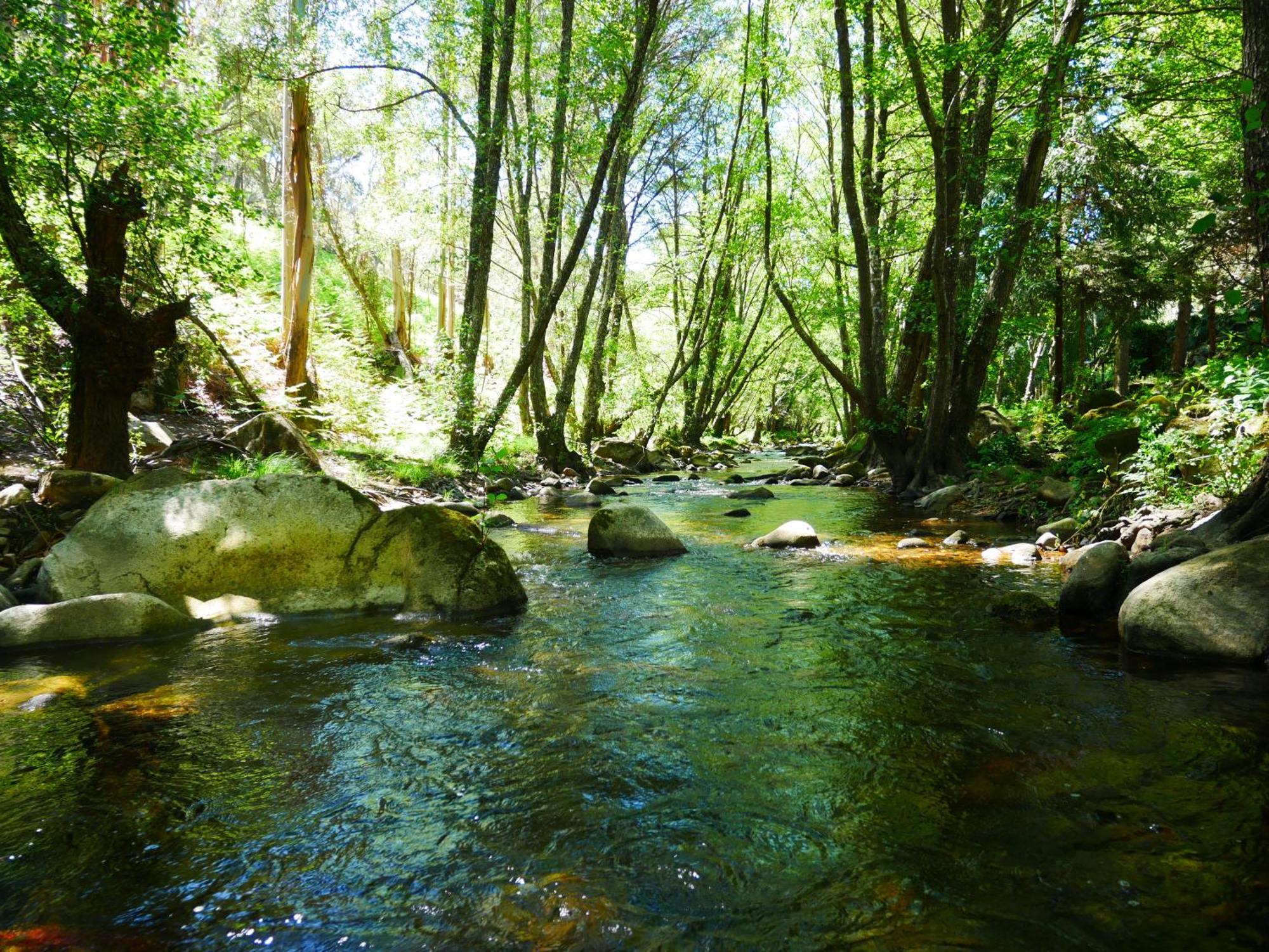 Serra Vida - A Place Of Presence Santo António das Areias Esterno foto